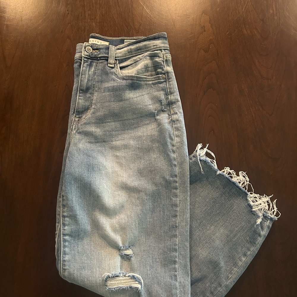 Eunina “Dawn” High Rise Wide Leg Crop Light Blue Distressed Jean